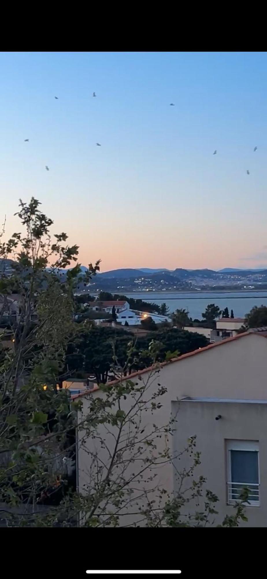 Appartement Superbe Duplex Refait A Neuf ! à Hyères Extérieur photo